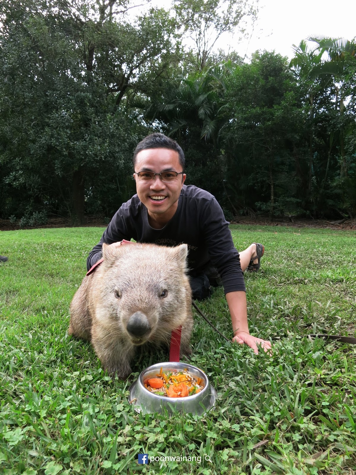 陽光海岸之旅： Australia Zoo與民保育