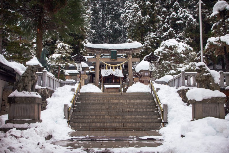 【日本岐阜】飛騨高山櫻山八幡宮・雪中的白色鳥居