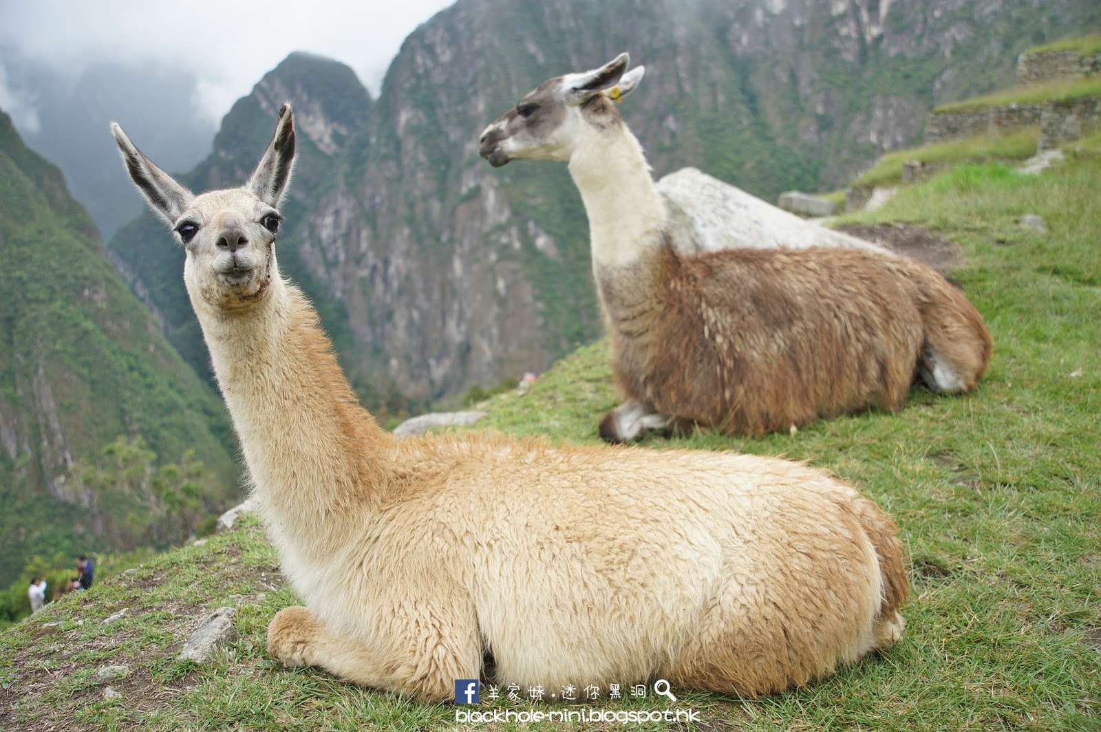 南美第三天．馬丘比丘Machu Picchu / 庫斯科Cusco