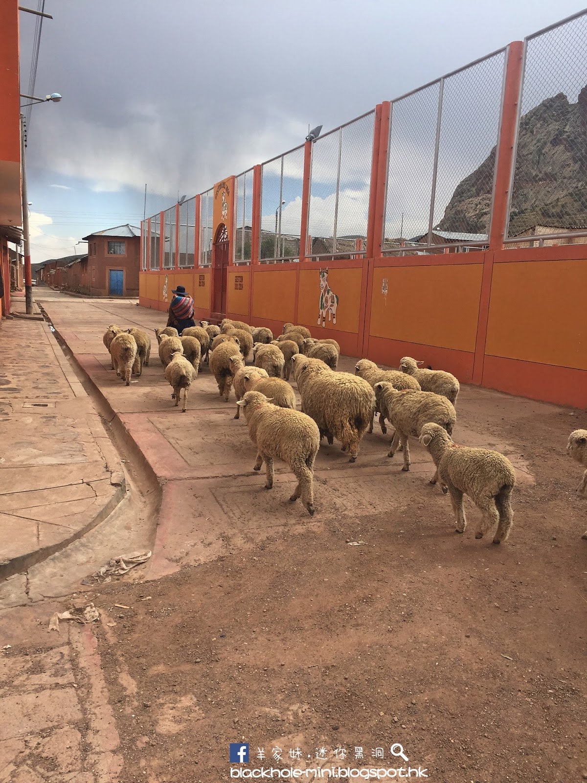 南美第四天．科斯庫Cusco / 普諾Puno（Wonder Peru十小時觀光巴士）