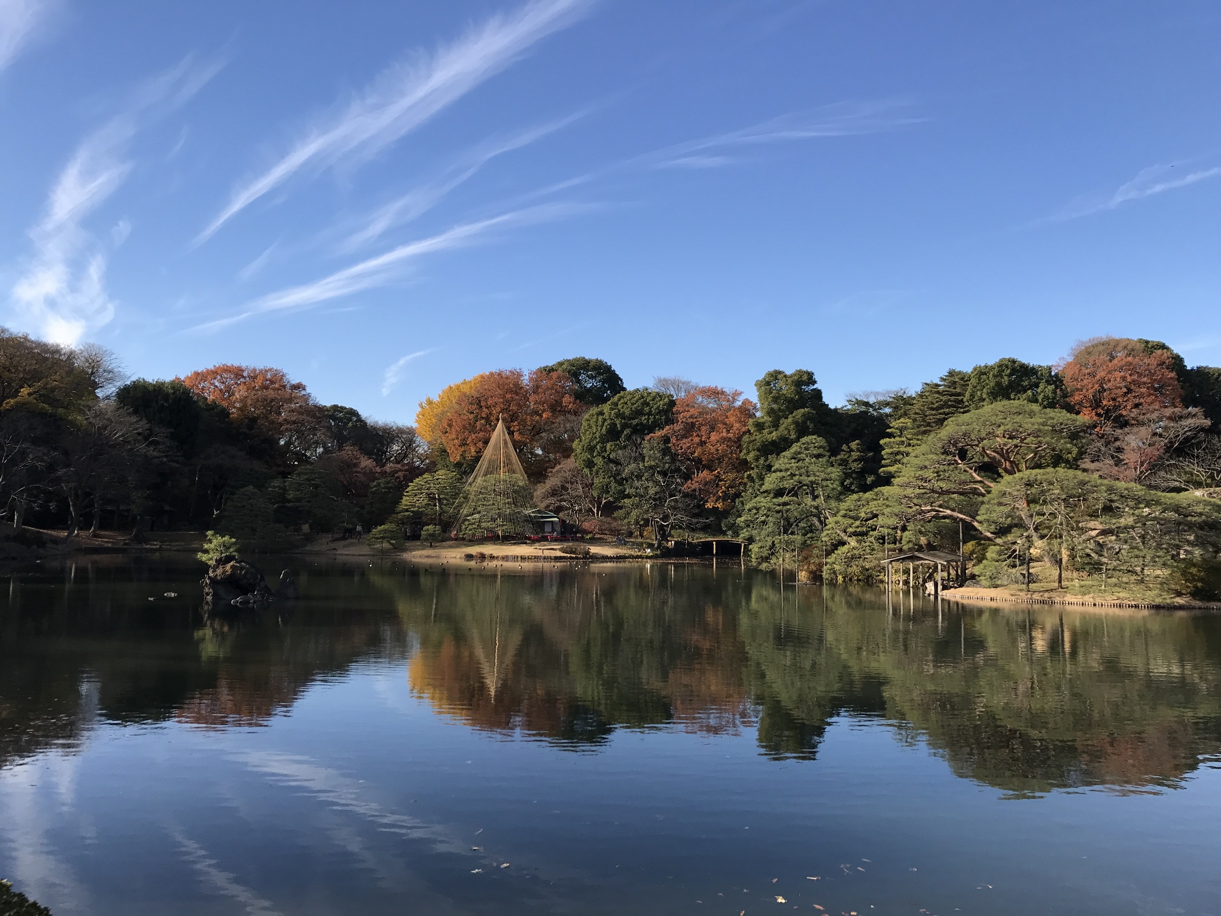 六義園秋色賞楓遊