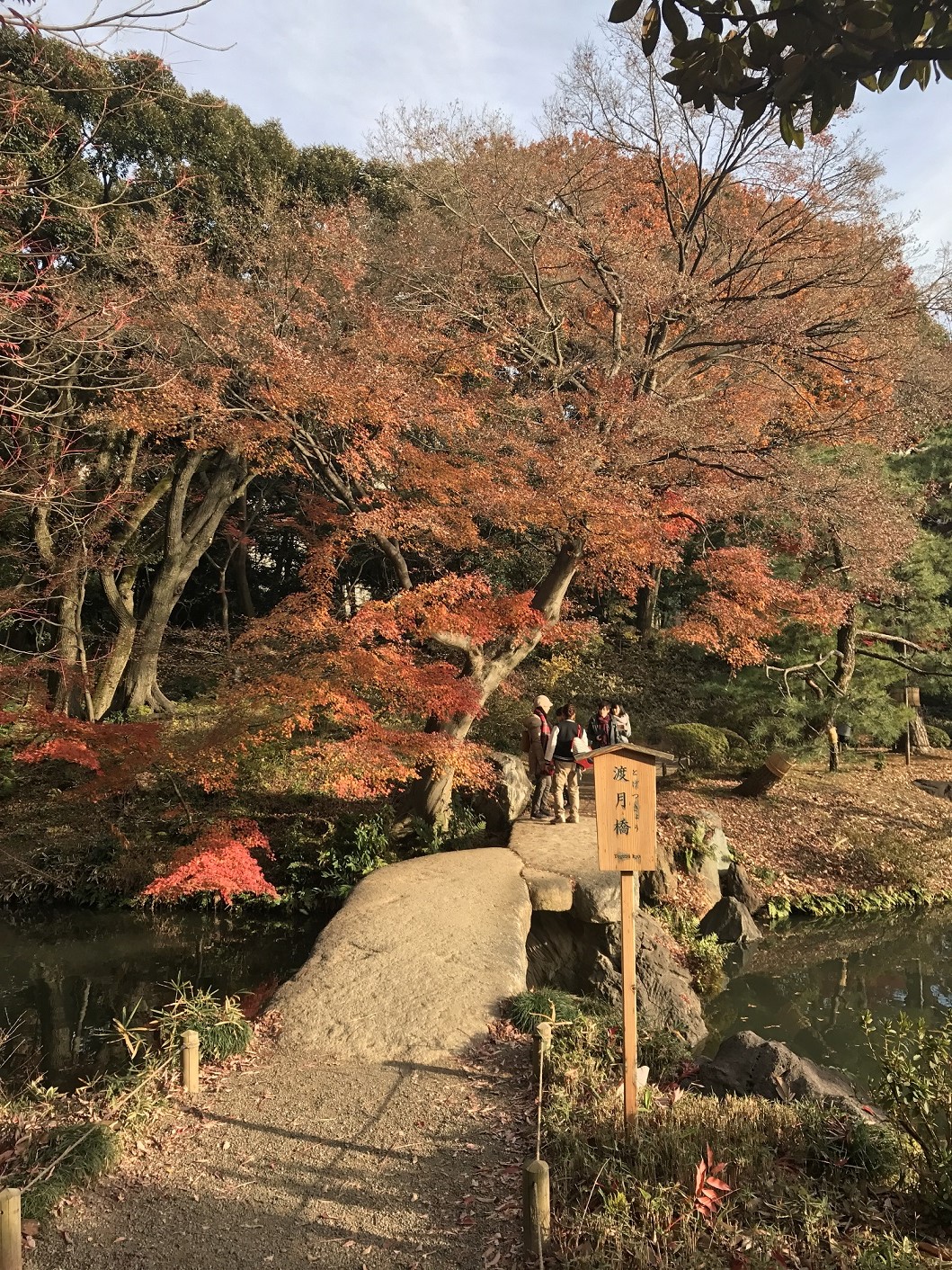 六義園秋色賞楓遊