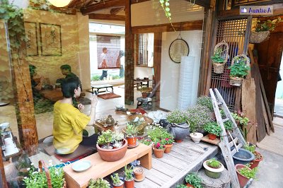 【有意思的韓屋老胡同】益善洞必去 #1 花園韓茶屋 院內