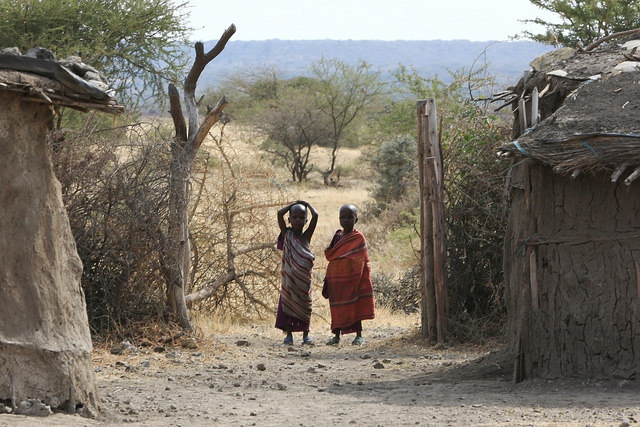 東非原始大地~坦桑尼亞動物大遷徙 Day 3