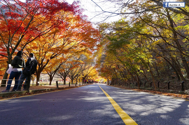 【2017韓國紅葉 】內藏山哪裏好拍好玩！ 全部告訴你！（入門級賞楓路線）