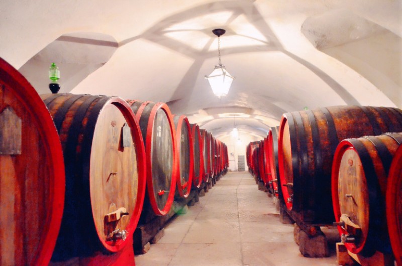 在意大利酒鄉VALPOLICELLA(VERONA)體驗WINE TASTING : 穿越葡萄園在別