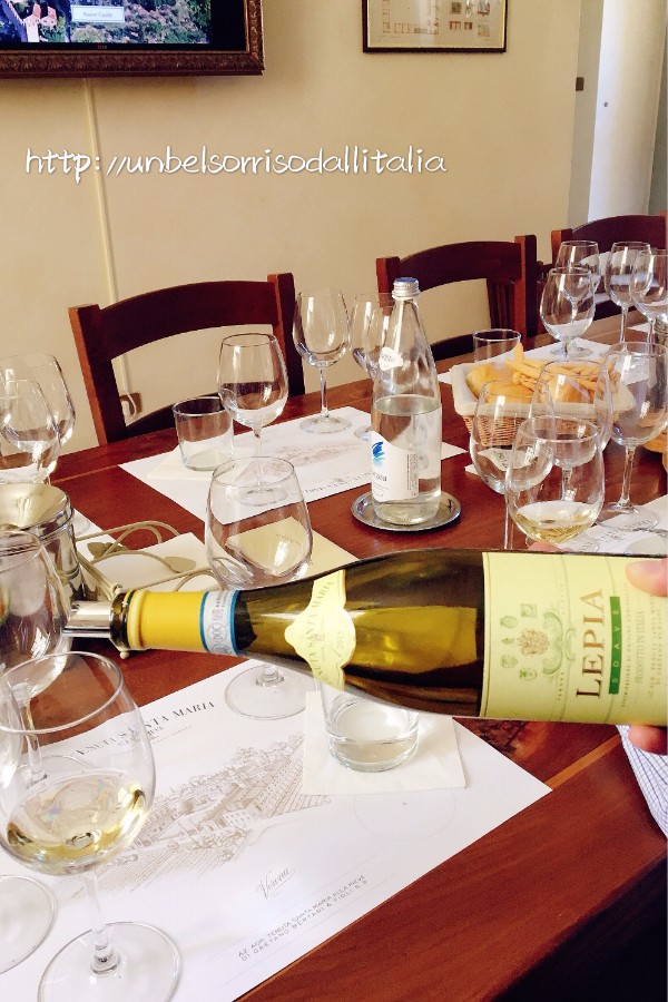 在意大利酒鄉VALPOLICELLA(VERONA)體驗WINE TASTING : 穿越葡萄園在別