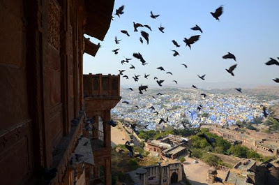 新春遊印度~藍色城市(久德浦爾 Jodhpur )