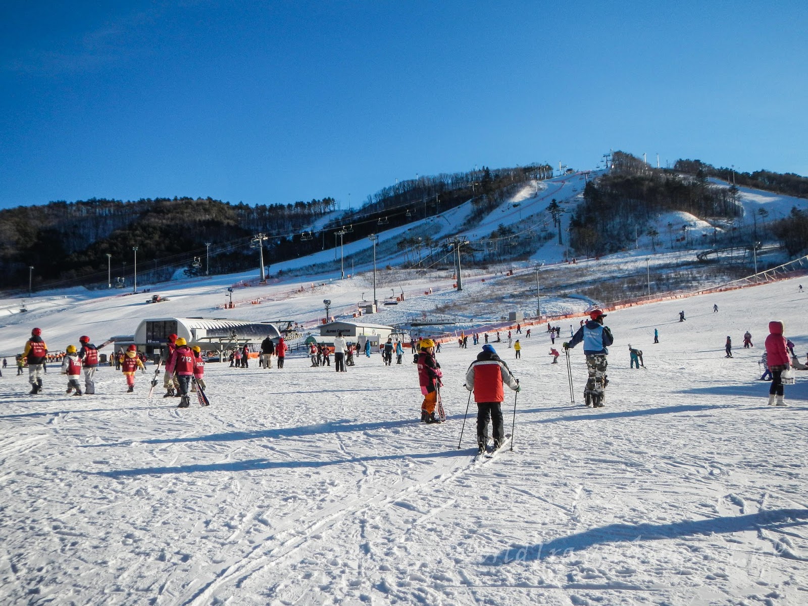 南韓滑雪自由行第二三天: Alpensia 滑雪場