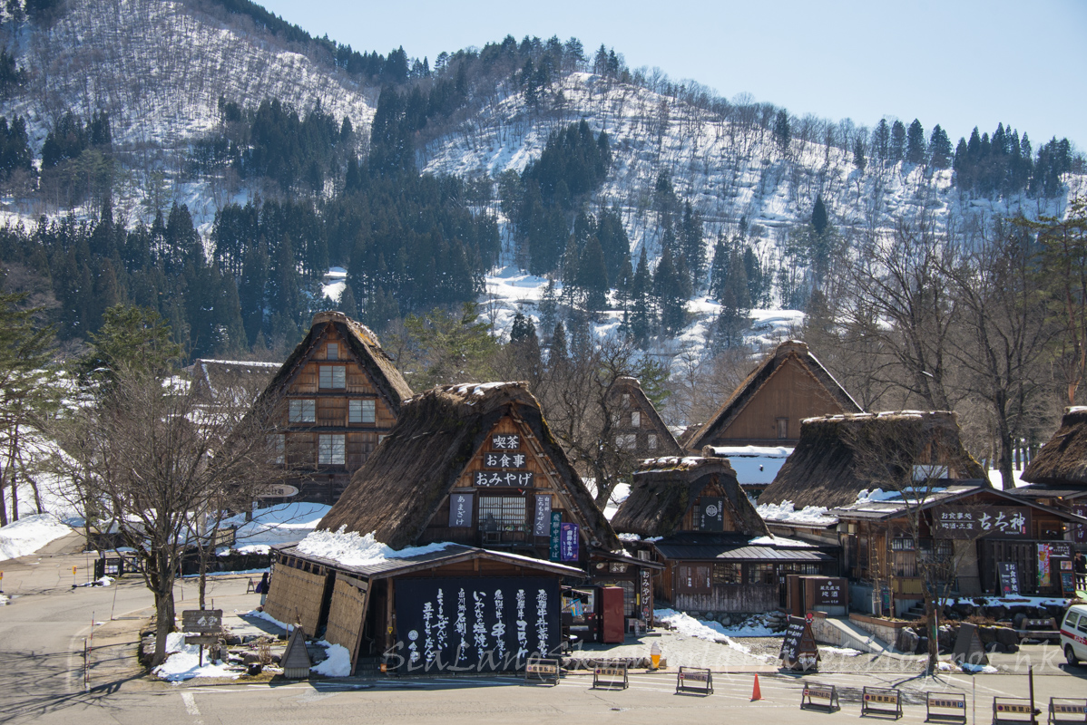 名古屋高山白川鄉櫻花飄雪自由行第3天: 白川鄉