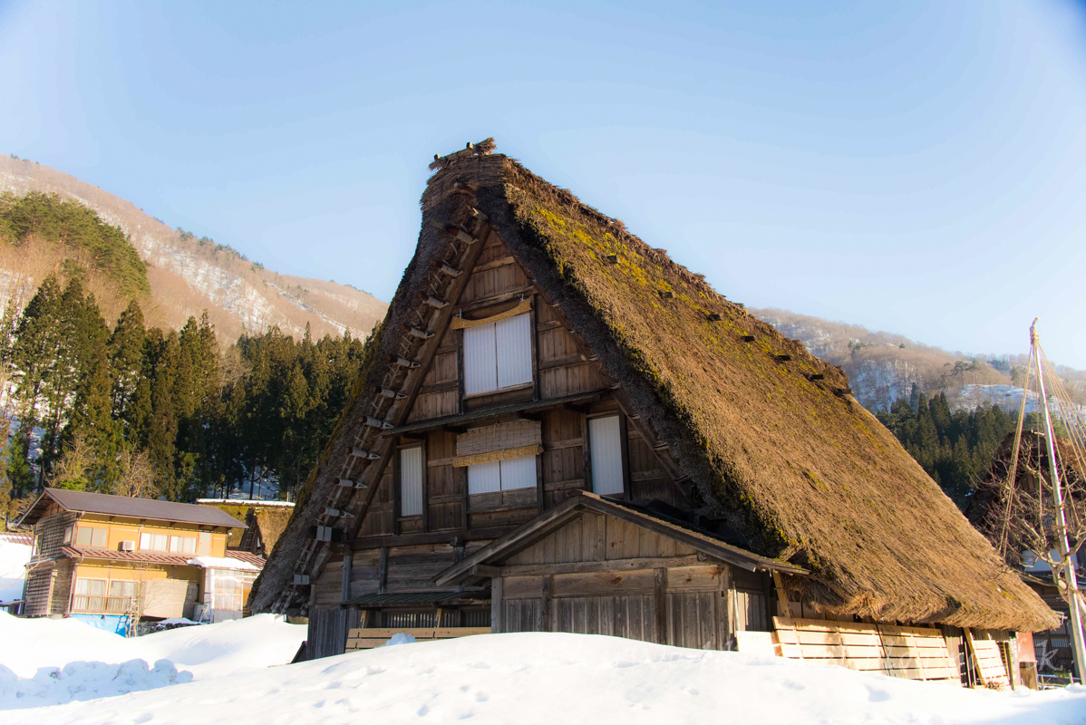 名古屋高山白川鄉櫻花飄雪自由行第3天: 白川鄉