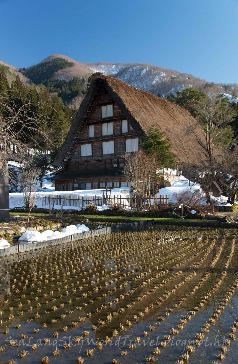 名古屋高山白川鄉櫻花飄雪自由行第3天: 白川鄉