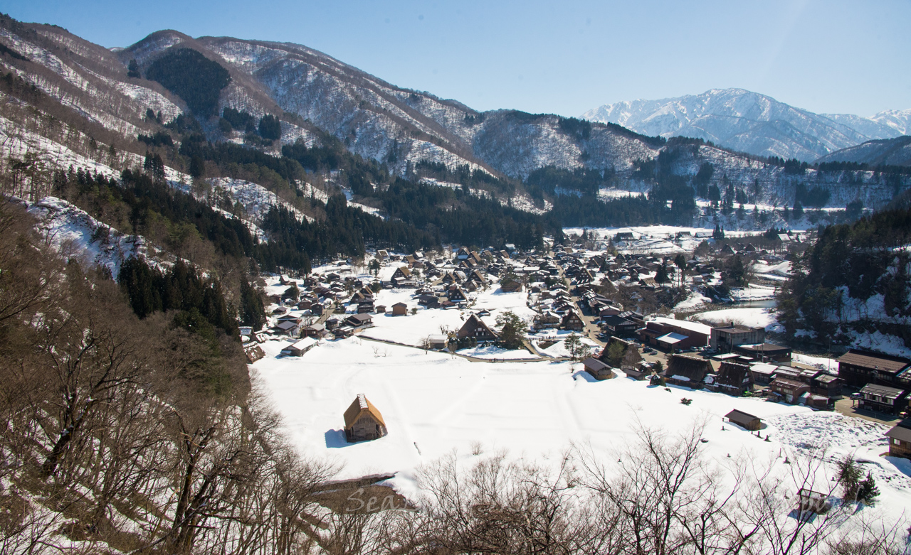 名古屋高山白川鄉櫻花飄雪自由行第3天: 白川鄉