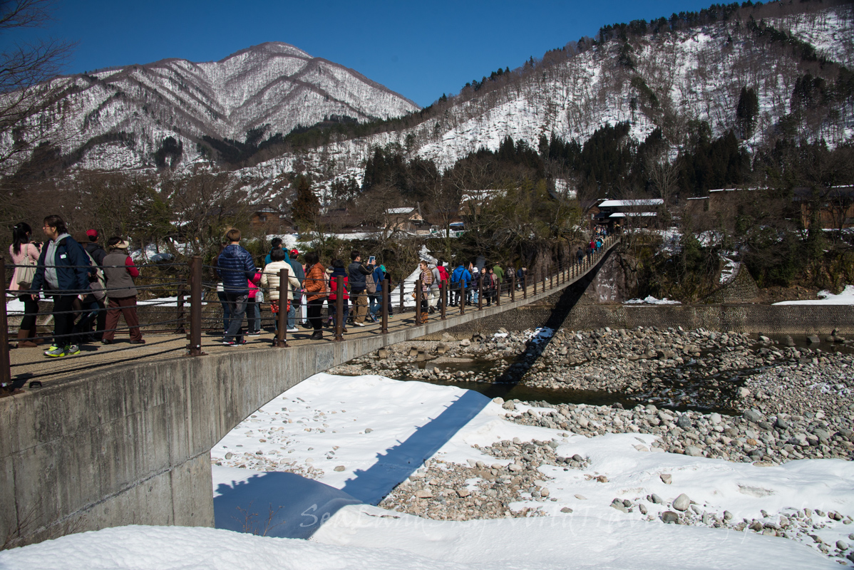 名古屋高山白川鄉櫻花飄雪自由行第3天: 白川鄉