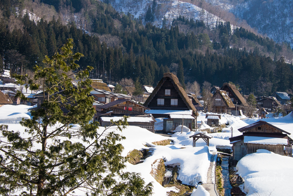 名古屋高山白川鄉櫻花飄雪自由行第3天: 白川鄉