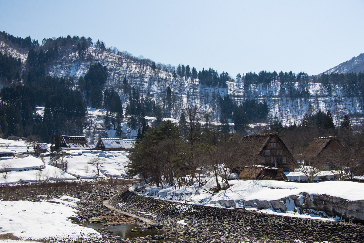 名古屋高山白川鄉櫻花飄雪自由行第3天: 白川鄉