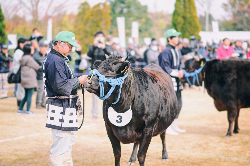 三重縣 | 松阪牛祭 · 日本三大和牛之一熱鬧祭典BBQ