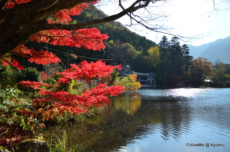 九州紅葉自駕遊~由布院氣質楓景金鏻湖