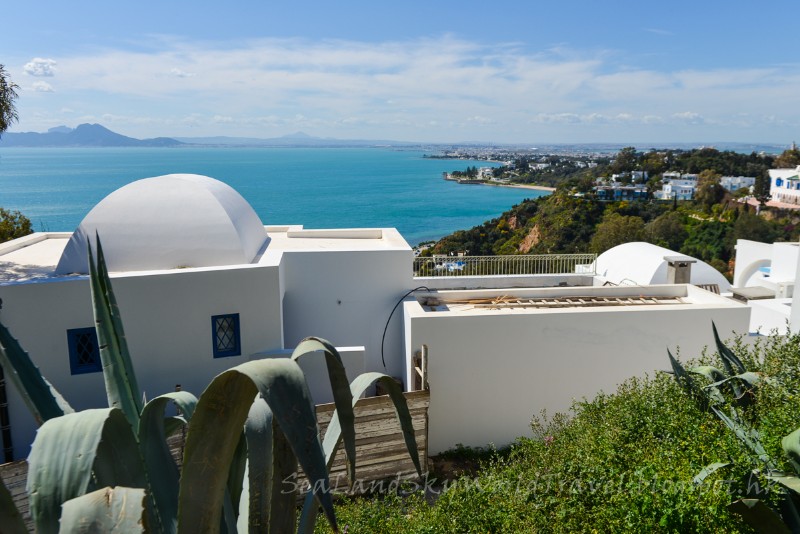 突尼西亞沙漠星戰之旅第2天: 西迪布賽義德 Sidi Bou Said