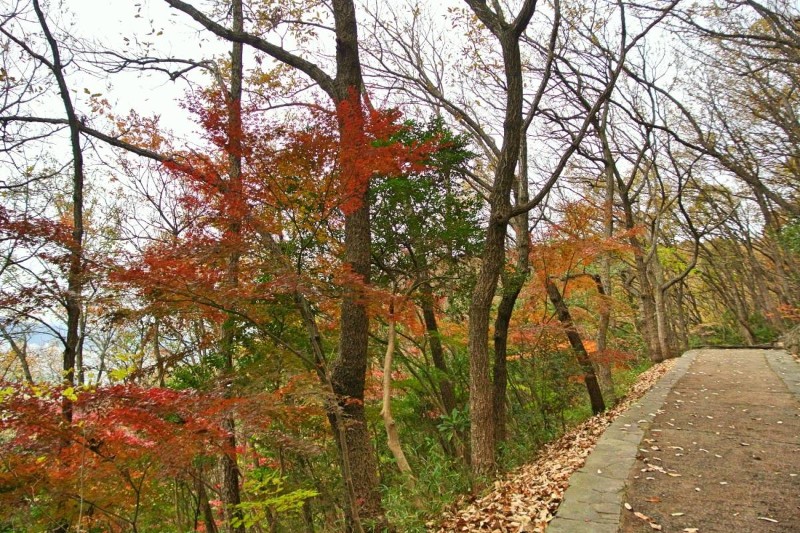 【遊記】日本．香川．屋島