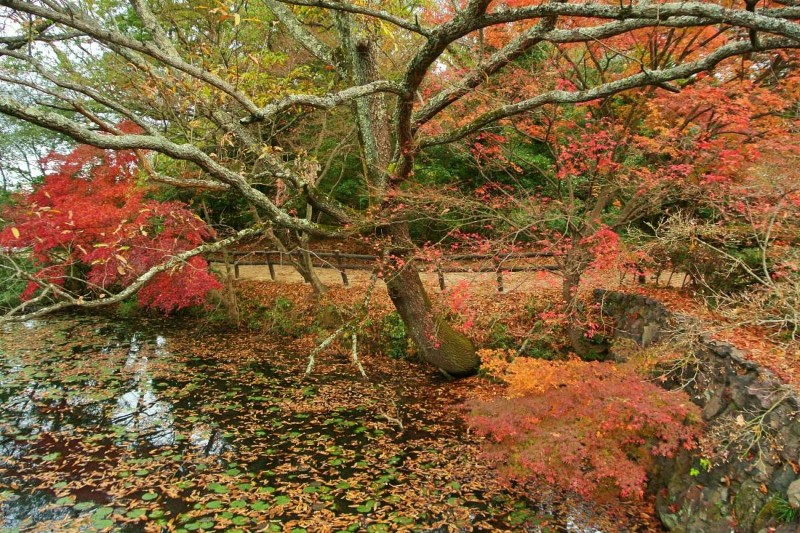 【遊記】日本．香川．屋島