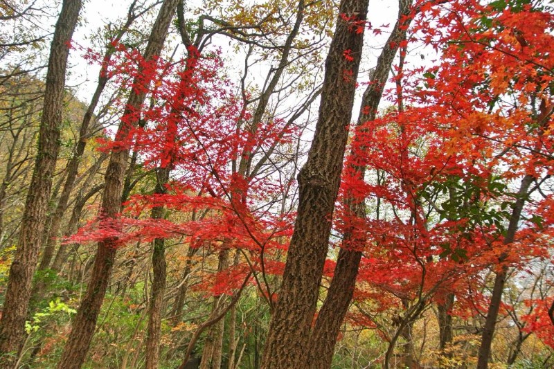 【遊記】日本．香川．屋島