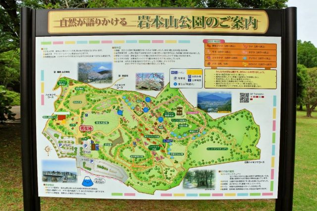 遊記 日本 靜岡 岩本山公園 永安旅遊