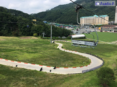 【韓國夏天景點推薦！】 探可愛草泥馬+採水蜜桃+玩斜坡滑車LUGE！