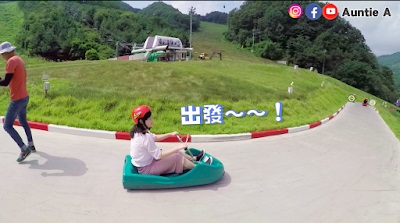 【韓國夏天景點推薦！】 探可愛草泥馬+採水蜜桃+玩斜坡滑車LUGE！
