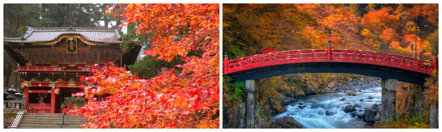 Day 1 ~東京近郊遊日光紅葉季