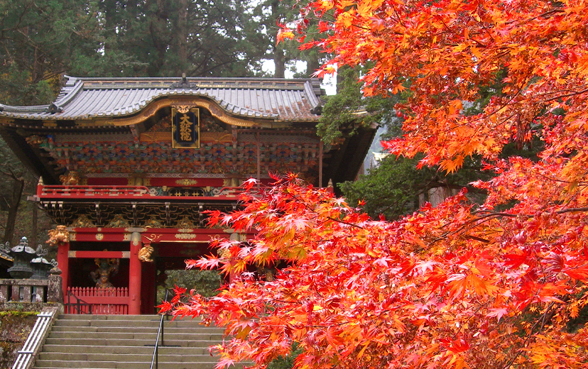 Day 1 ~東京近郊遊日光紅葉季