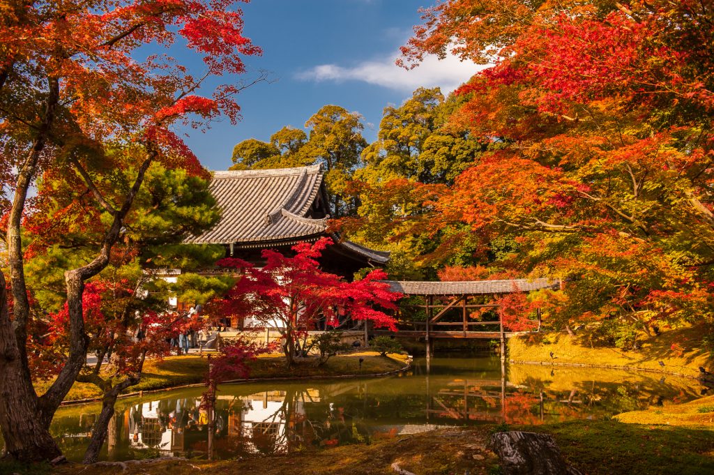 關西紅葉季5天懶人包 | Day 1 ~ 追訪京都絕色紅葉季