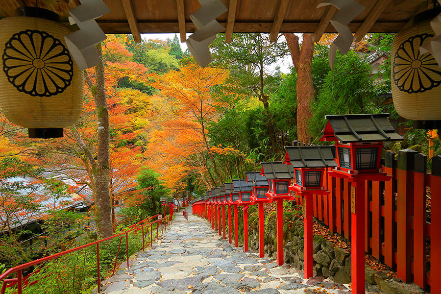關西紅葉季5天懶人包 | Day 1 ~ 追訪京都絕色紅葉季