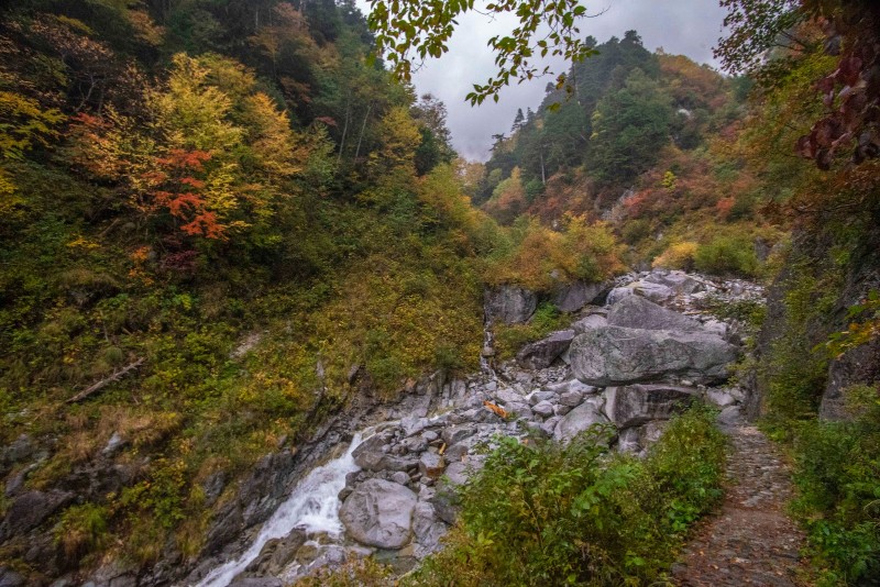 [日本/長野] 中央阿爾卑斯千疊敷 震撼漫山紅葉