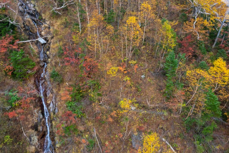 [日本/長野] 中央阿爾卑斯千疊敷 震撼漫山紅葉