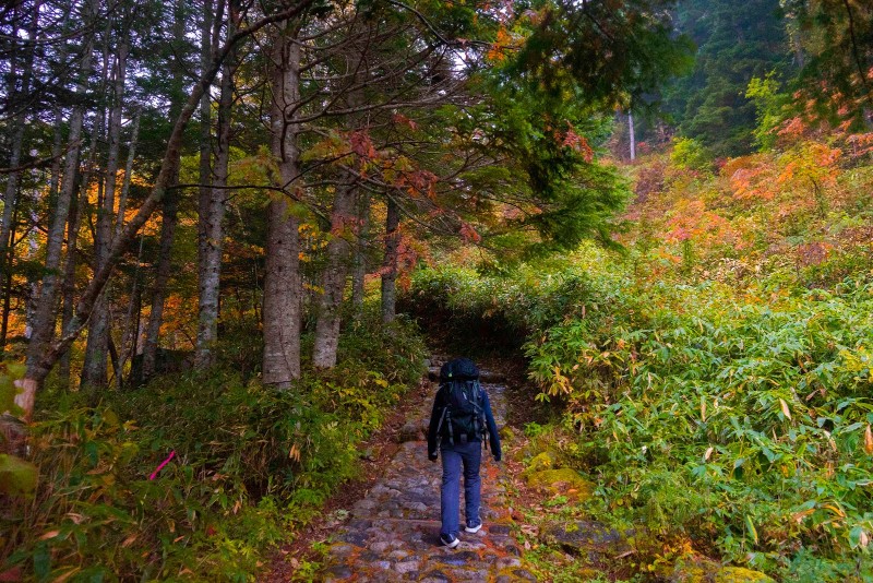 [日本/長野] 中央阿爾卑斯千疊敷 震撼漫山紅葉