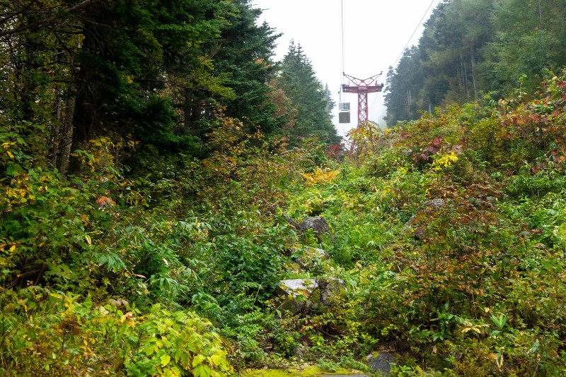 [日本/長野] 中央阿爾卑斯千疊敷 震撼漫山紅葉