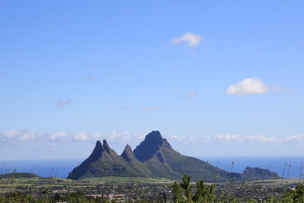 馬達加斯加 夢幻島國 D1 (上)