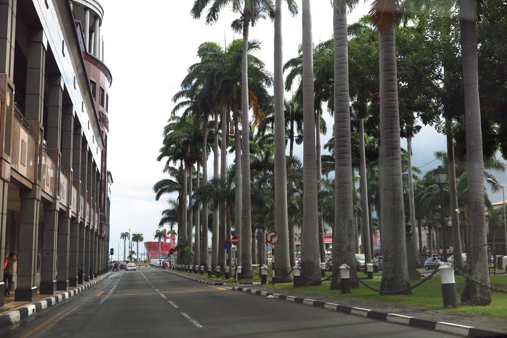 馬達加斯加 夢幻島國 D1 (上)