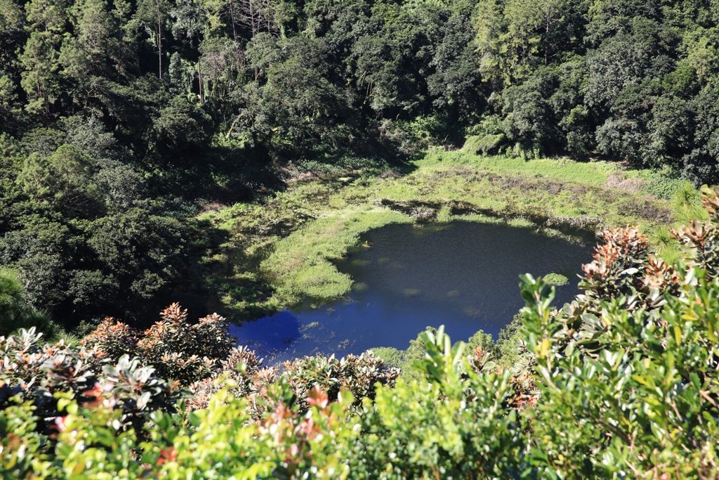 馬達加斯加 夢幻島國 D1 (上)