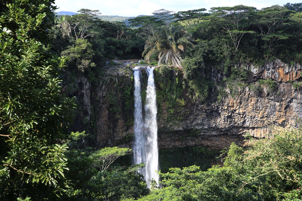 馬達加斯加 夢幻島國 D1 (上)