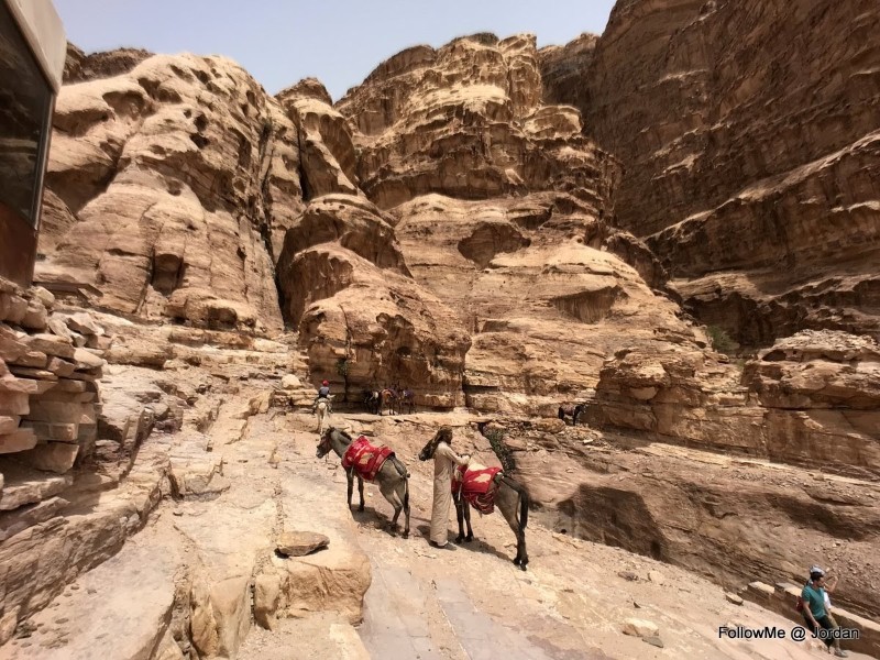 以色列約旦自駕遊~約旦迷城佩特拉Petra