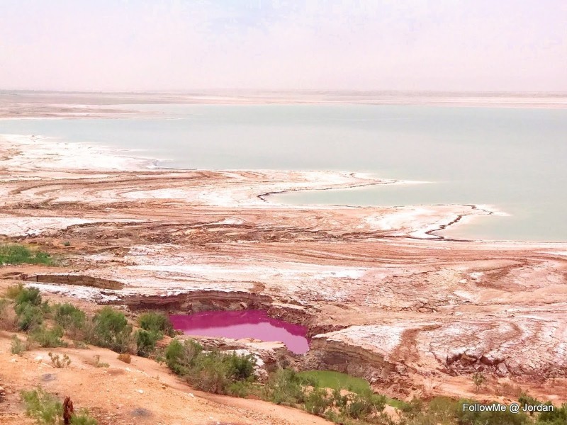 以色列約旦自駕遊~傳說中的死海和泥漿浴Dead Sea & Mud