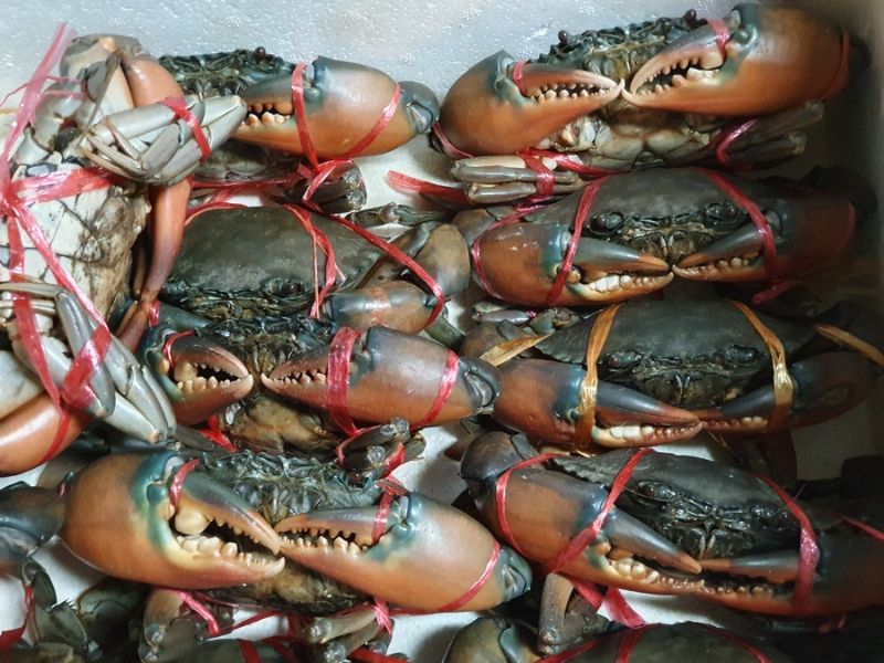 曼谷MBK後面平價海鮮小店 - Aey Seafood