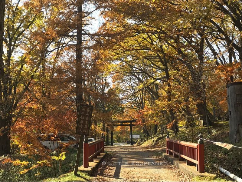 【櫪木縣】日光中禪寺湖單車一天遊,10月關東紅葉,遊記路線,交通資訊