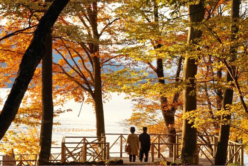 【櫪木縣】日光中禪寺湖單車一天遊,10月關東紅葉,遊記路線,交通資訊