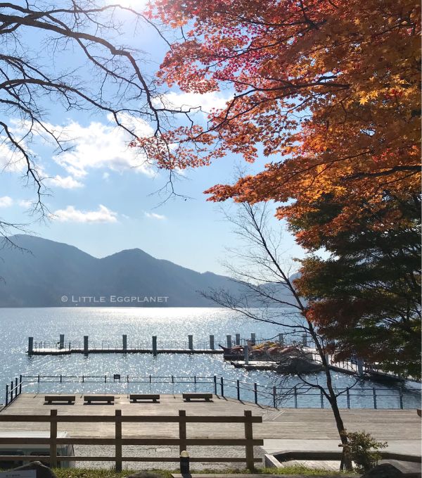 【櫪木縣】日光中禪寺湖單車一天遊,10月關東紅葉,遊記路線,交通資訊