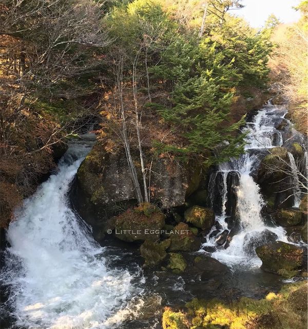 【櫪木縣】日光中禪寺湖單車一天遊,10月關東紅葉,遊記路線,交通資訊