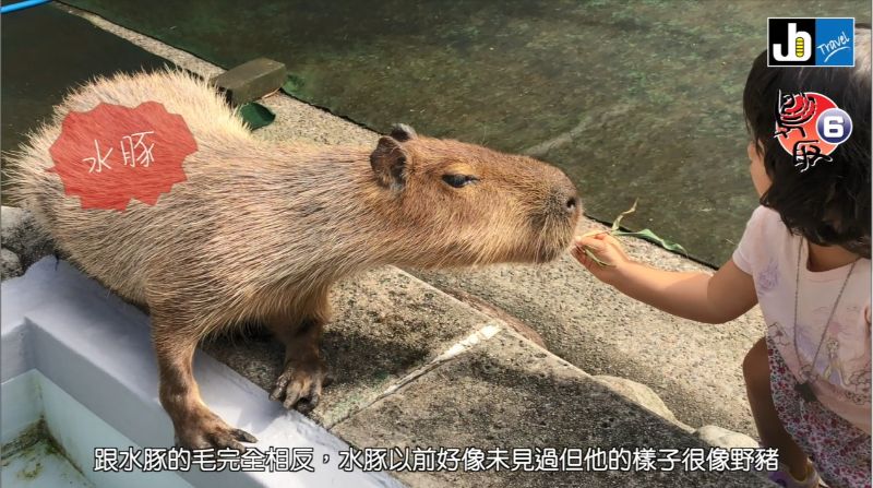 鳥取文青系 | 欣賞日系寫真美術館