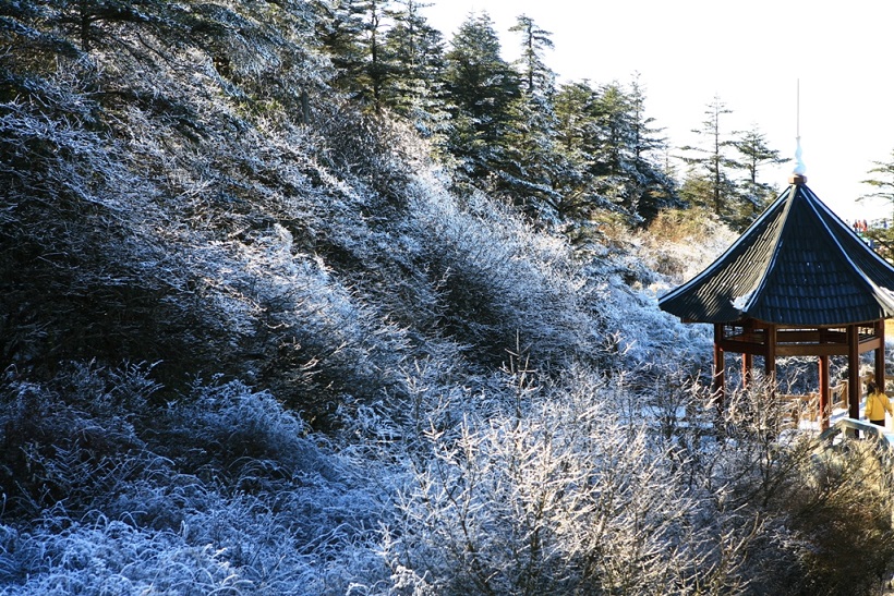 26天川藏青海大迴環之旅 (峨嵋山 - 成都)